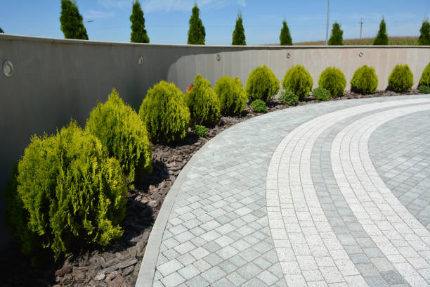 Reasons to Select Us for Your Driveway Paving Requirements in Roy, UT